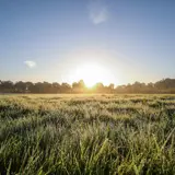 Streufeld Borne  Dreteler 