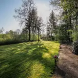 Streufeld Enschede Populier 